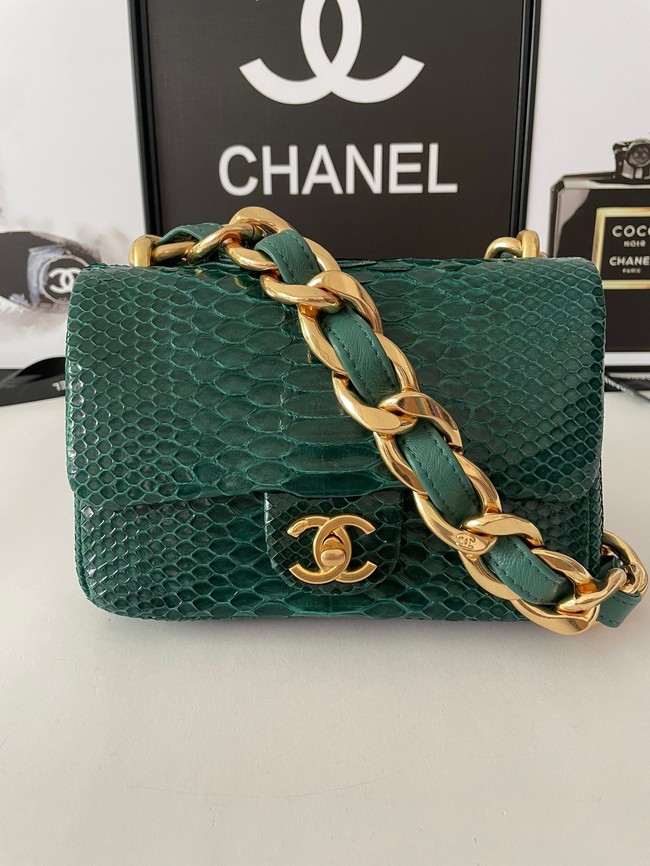 Chanel SMALL FLAP BAG Snakeskin & Gold-Tone Metal AS3214 green