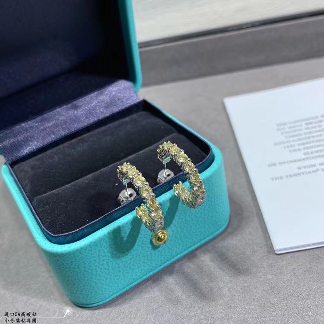 TIFFANY Earrings CE8859