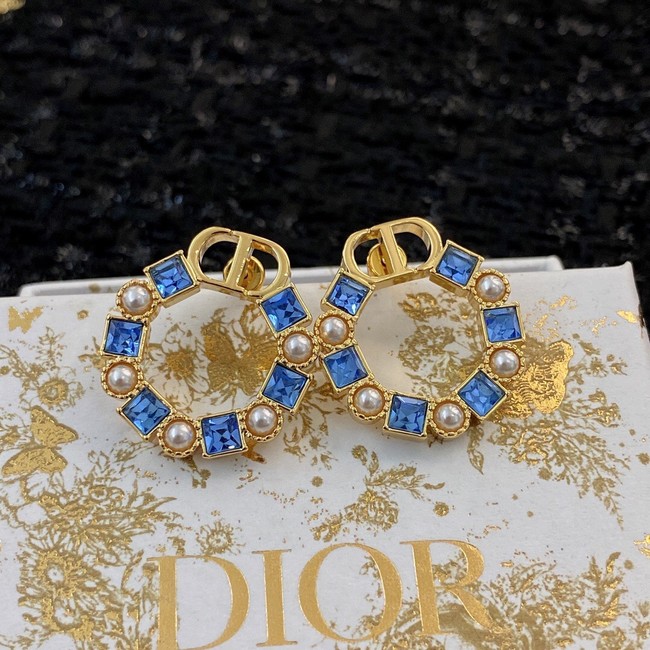 Dior Earrings CE8911
