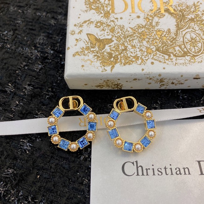 Dior Earrings CE8911