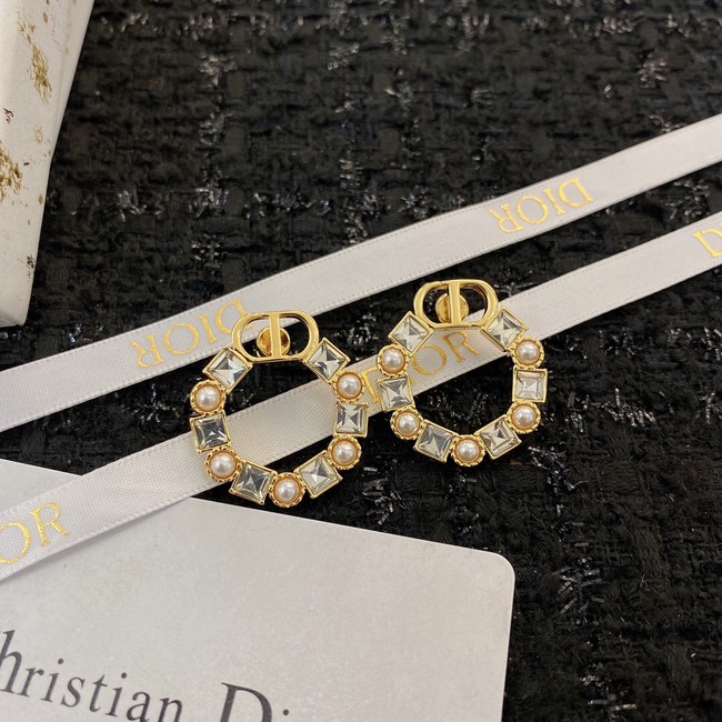 Dior Earrings CE8912