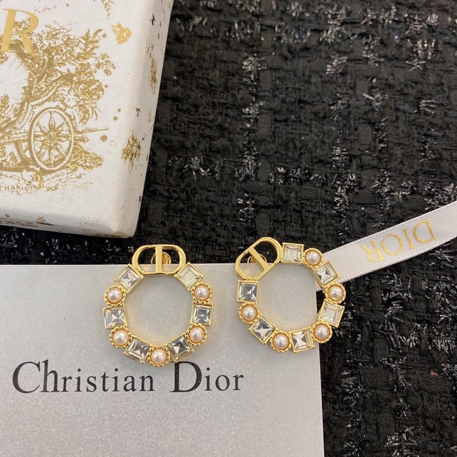 Dior Earrings CE8912