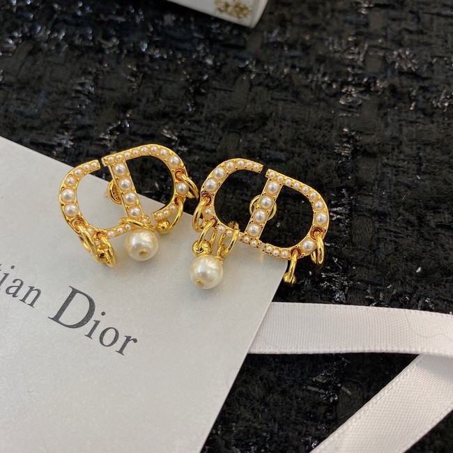 Dior Earrings CE8913