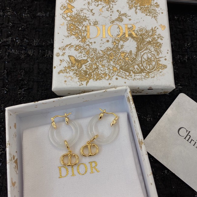 Dior Earrings CE8933