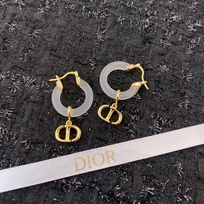 Dior Earrings CE8933