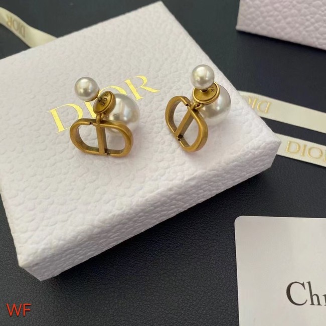 Dior Earrings CE8954