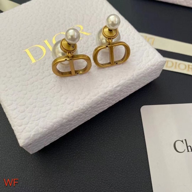 Dior Earrings CE8954