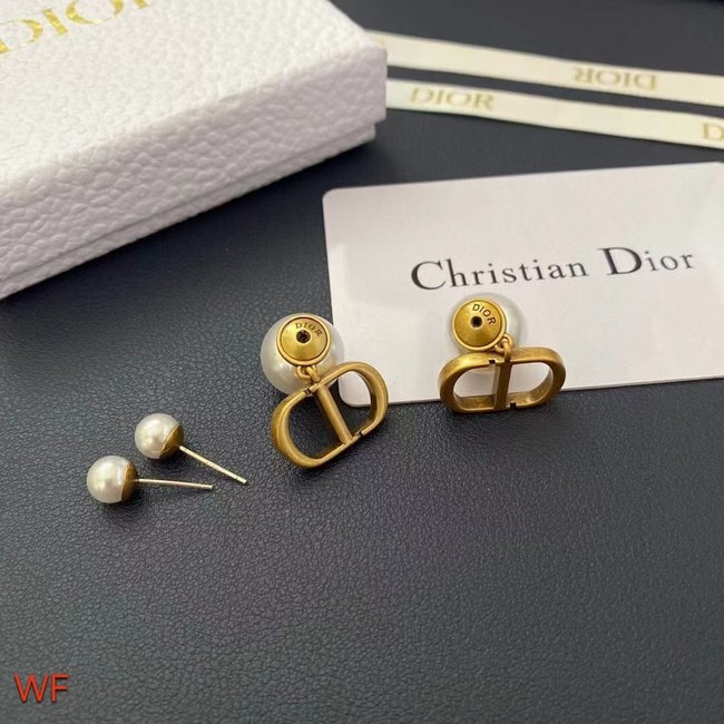 Dior Earrings CE8954