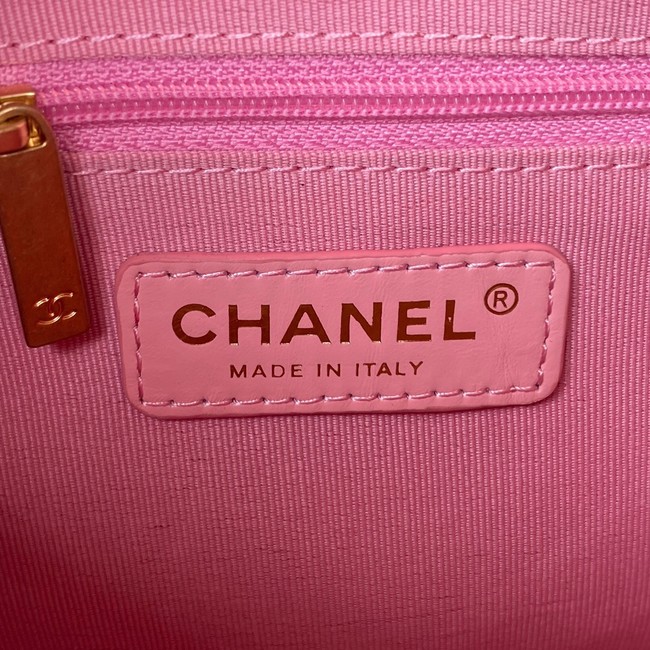 Chanel MINI CAMERA CASE AS3383 pink