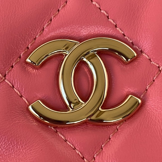 Chanel Lambskin & Gold-Tone Metal Backpack AS3332 pink