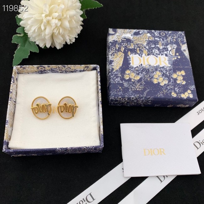 Dior Earrings CE8976