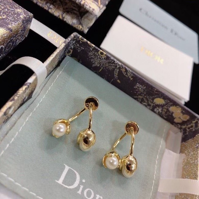 Dior Earrings CE9003