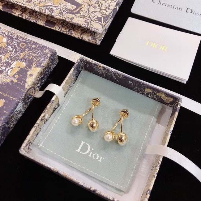 Dior Earrings CE9003