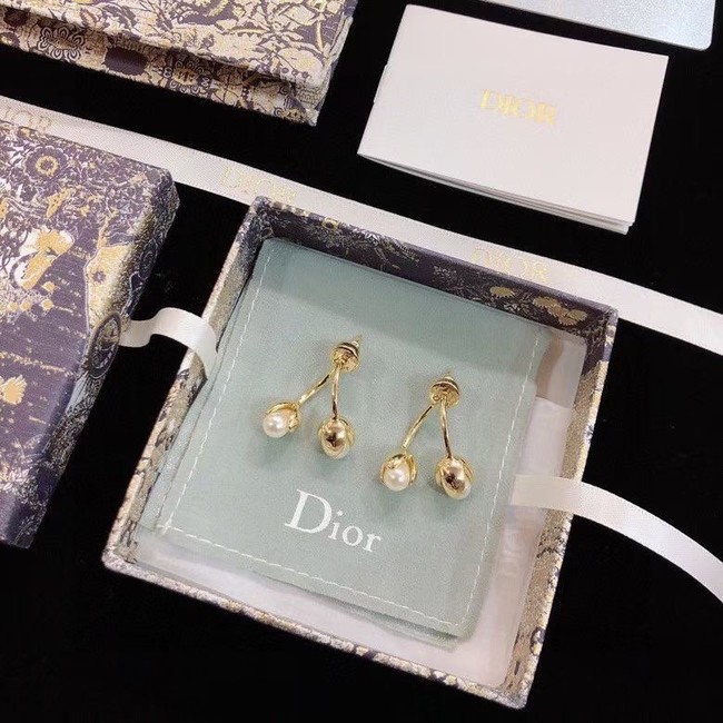 Dior Earrings CE9003