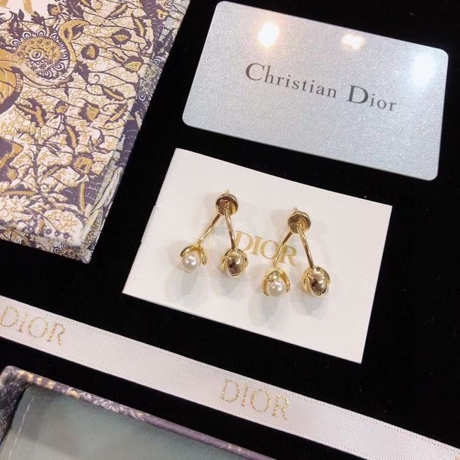 Dior Earrings CE9003