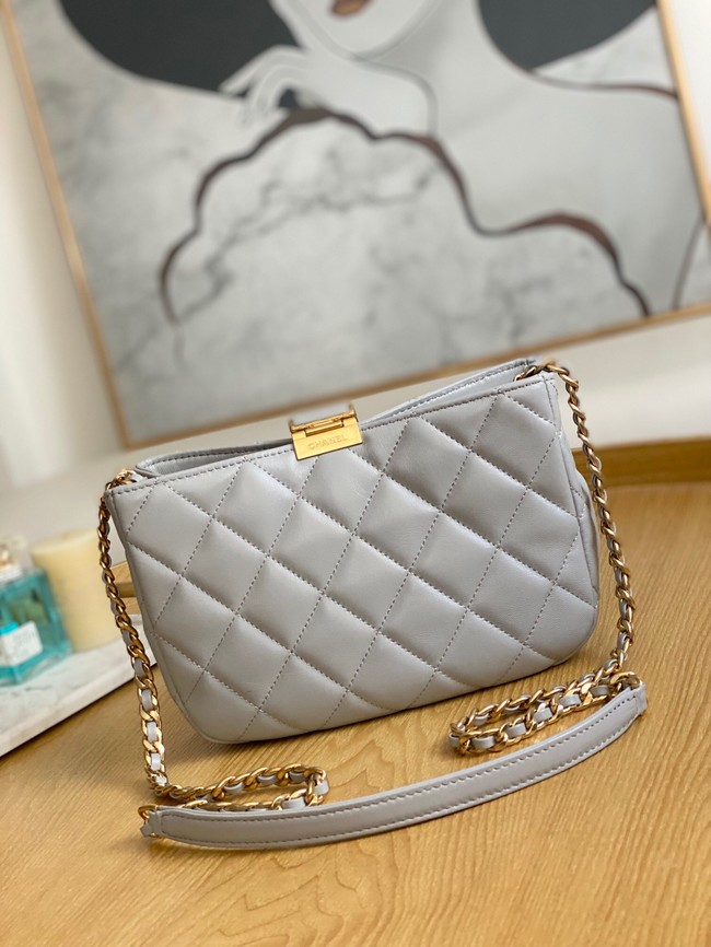 Chanel SMALL HOBO BAG AS3476 gray