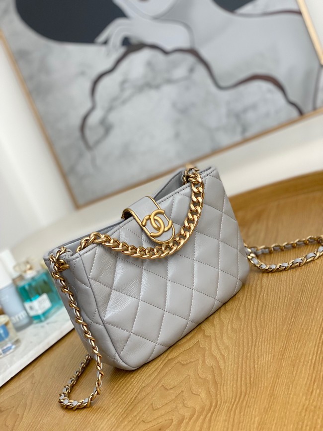 Chanel SMALL HOBO BAG AS3476 gray