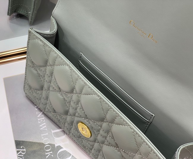 Dior BELT POUCH 2273 gray