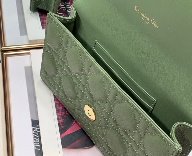 Dior BELT POUCH 2273 green