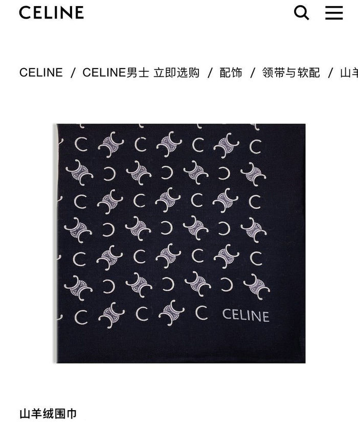 CELINE Scarf CLC00022