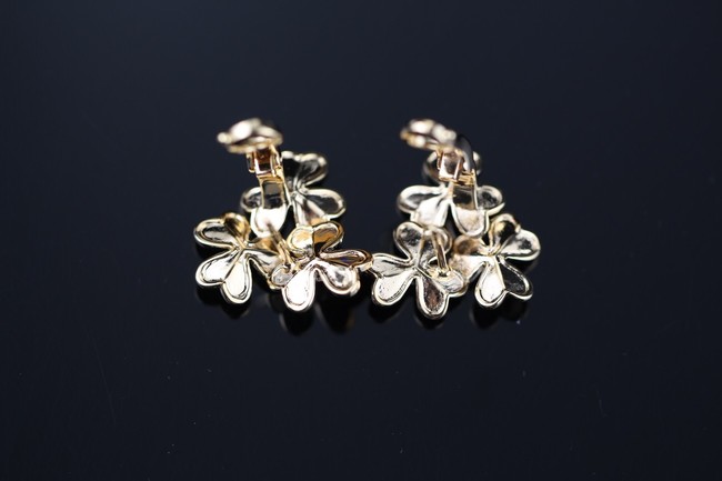 Louis Vuitton Earrings CE9029