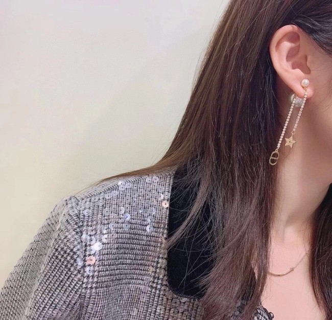 Dior Earrings CE9095