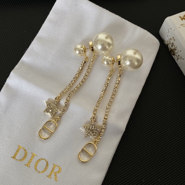 Dior Earrings CE9095