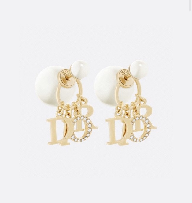 Dior Earrings CE9110