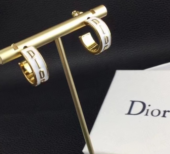 Dior Earrings CE9153