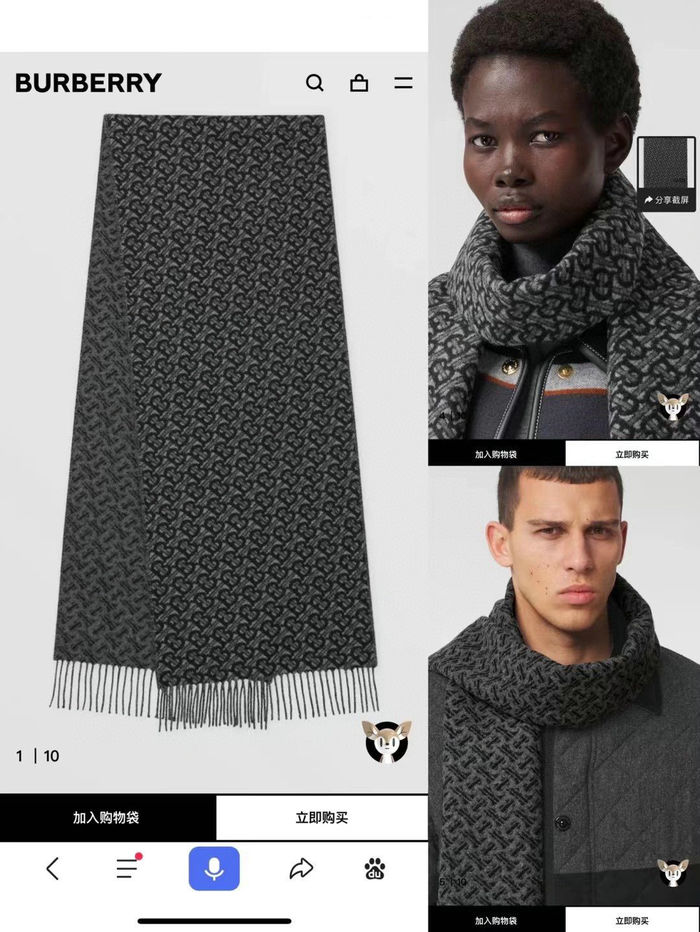 Burberry Scarf BBC00005