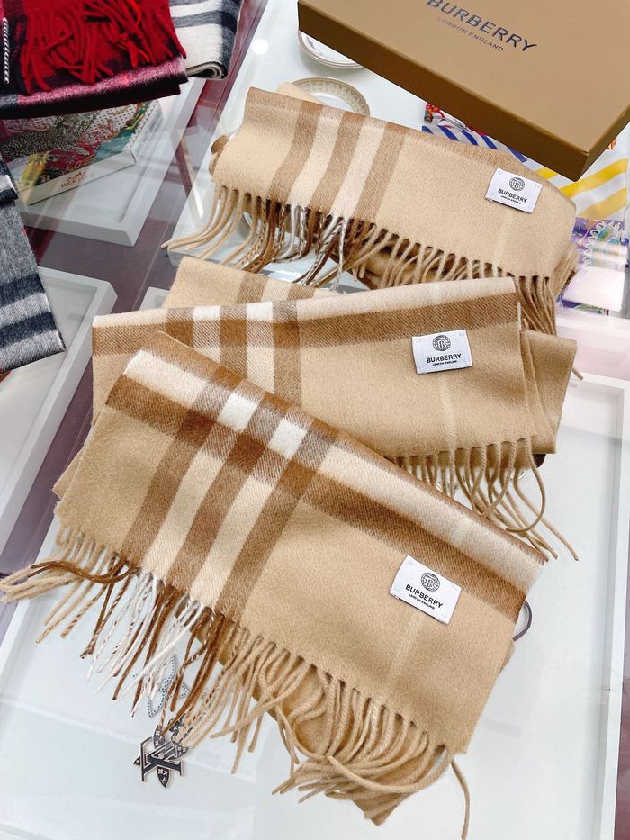 Burberry Scarf BBC00012