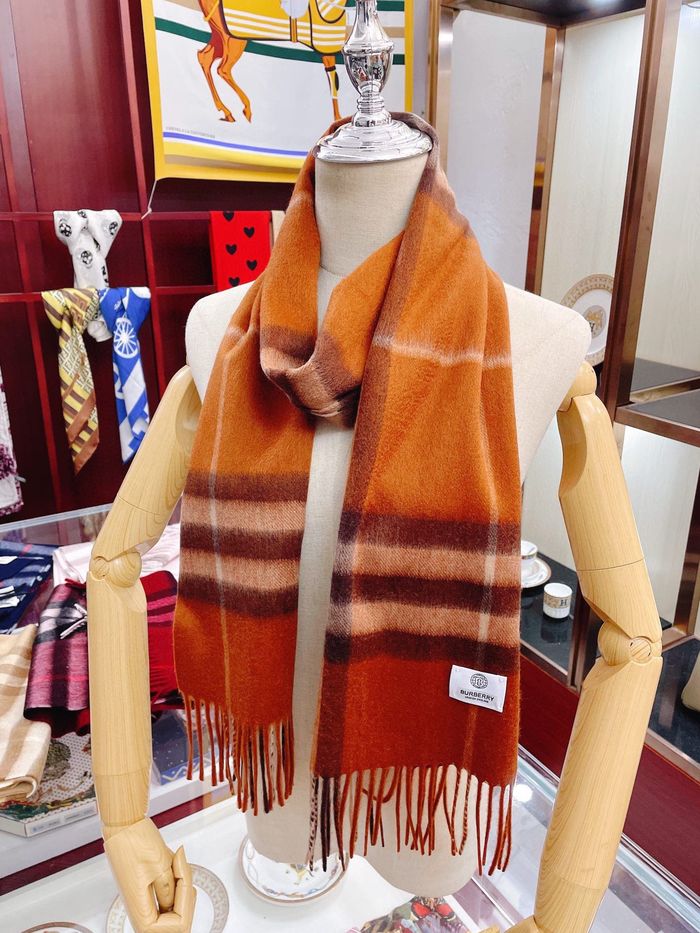 Burberry Scarf BBC00015