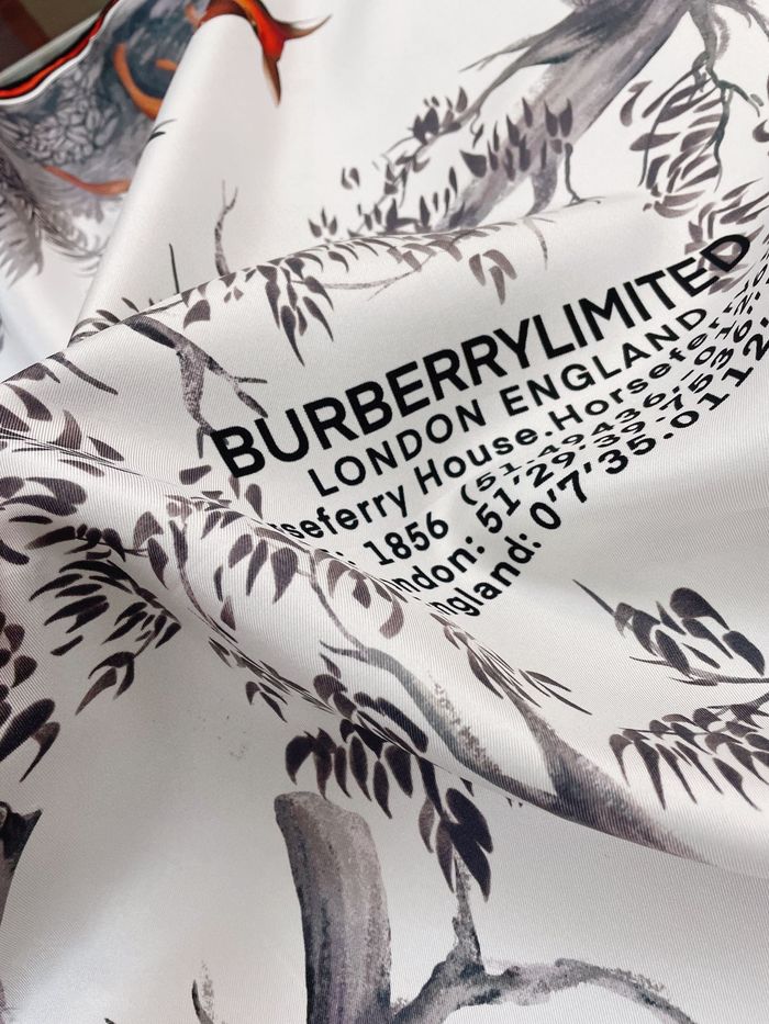 Burberry Scarf BBC00064