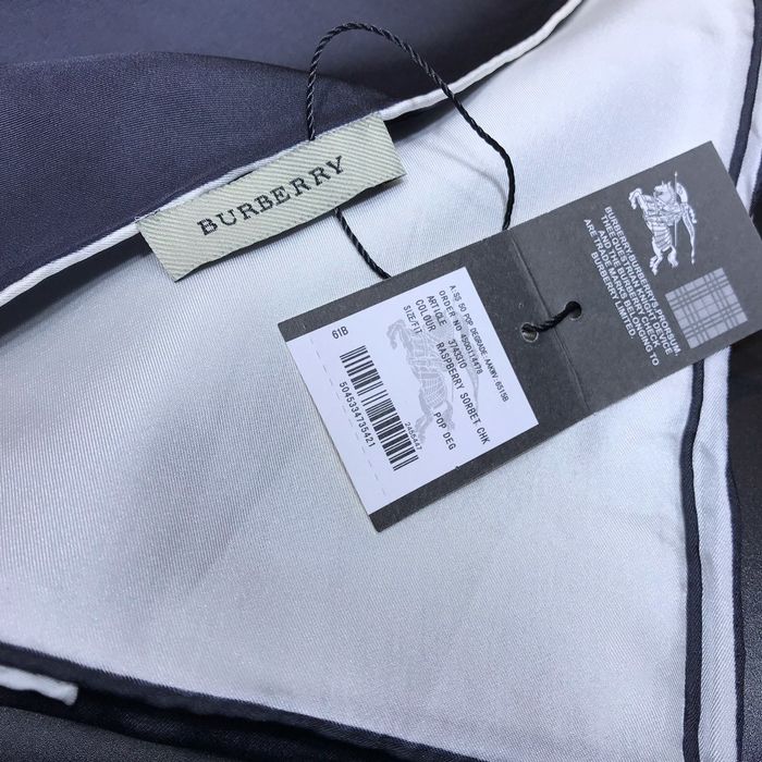 Burberry Scarf BBC00068