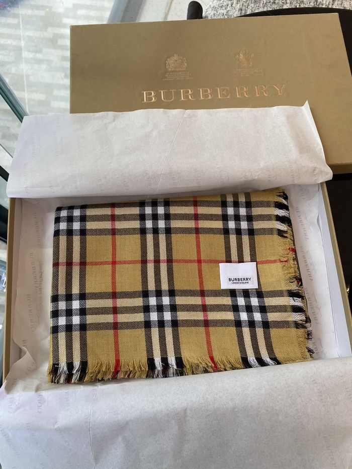 Burberry Scarf BBC00084