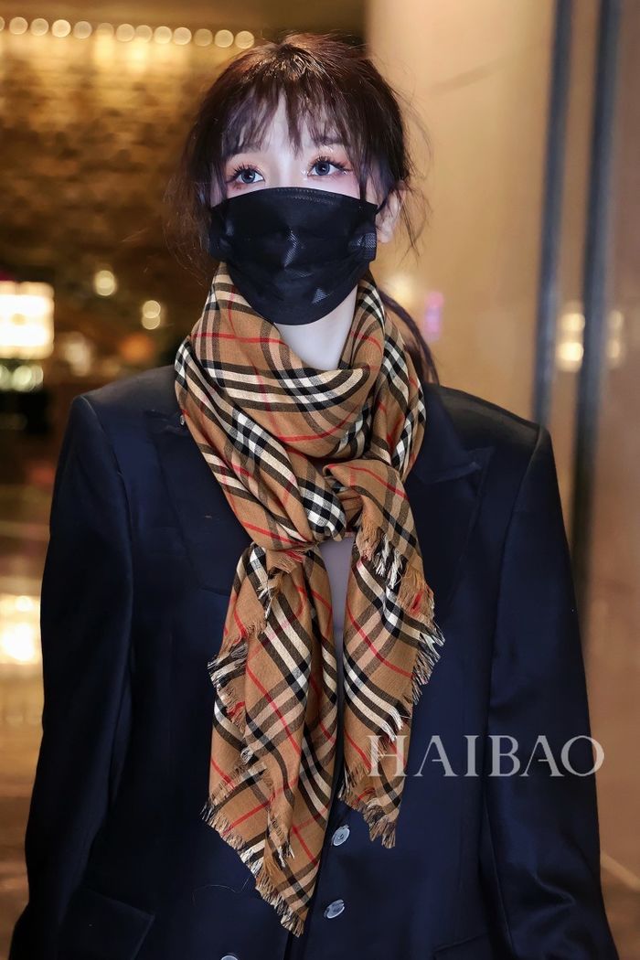 Burberry Scarf BBC00106