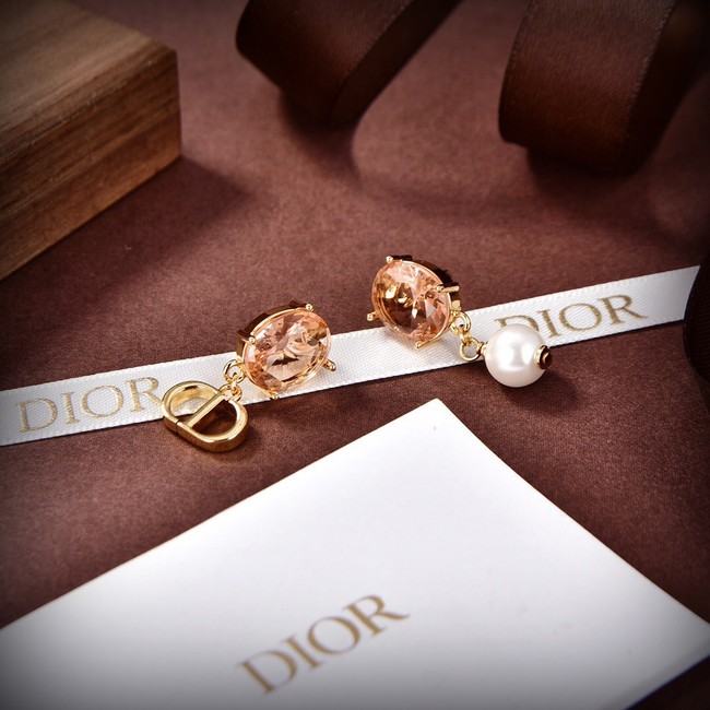 Dior Earrings CE9228