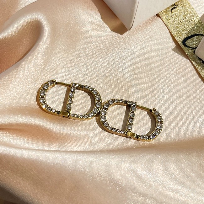 Dior Earrings CE9255