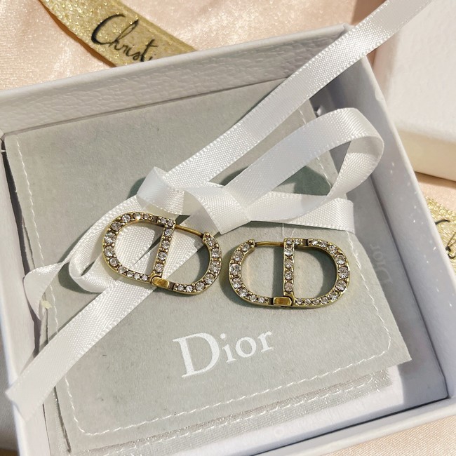 Dior Earrings CE9255