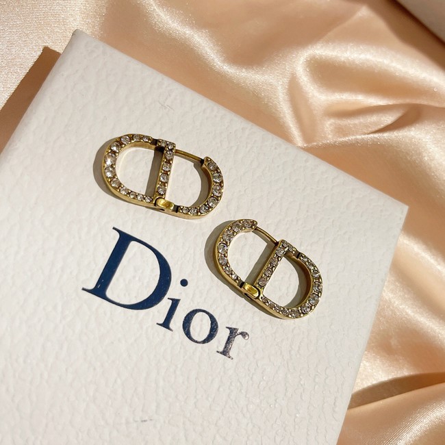 Dior Earrings CE9255
