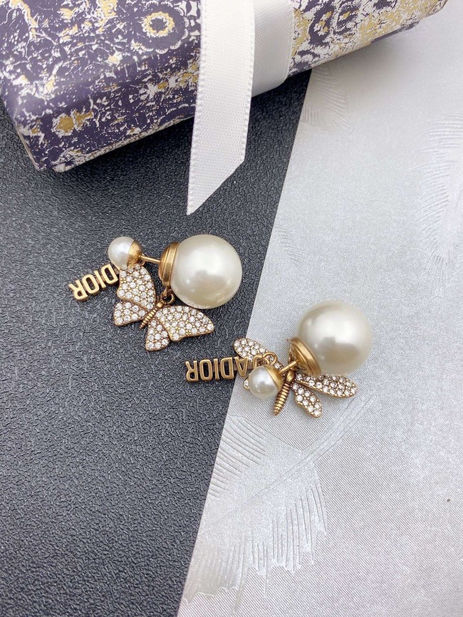 Dior Earrings CE9258