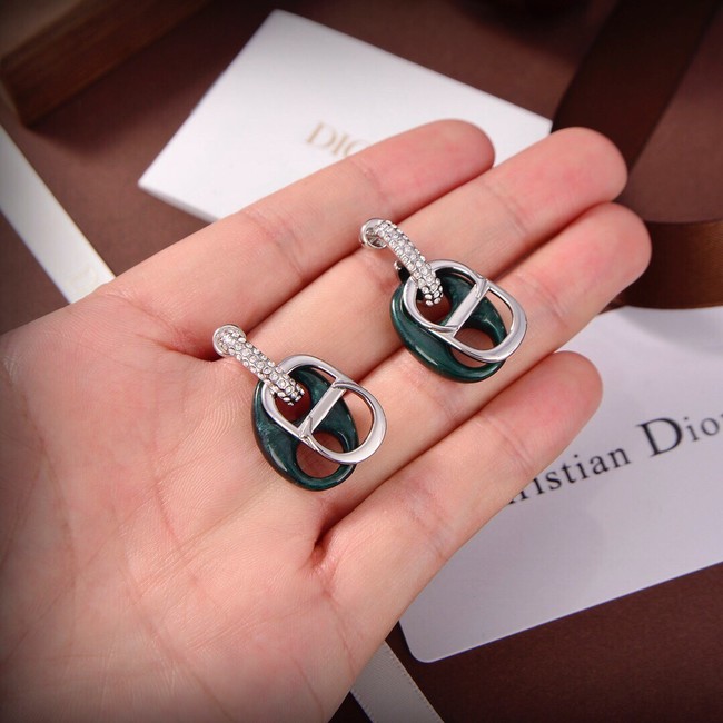 Dior Earrings CE9309