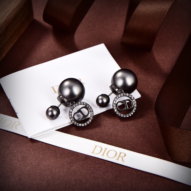 Dior Earrings CE9311