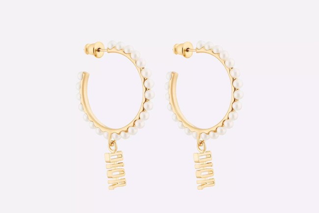 Dior Earrings CE9313