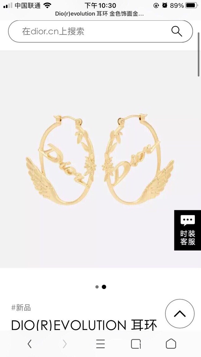 Dior Earrings CE9315