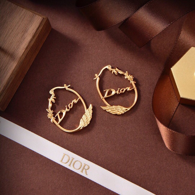 Dior Earrings CE9315