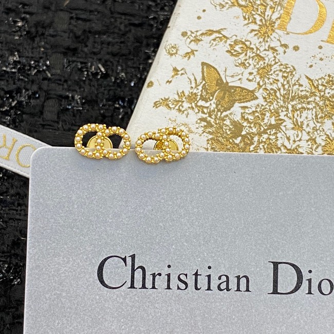 Dior Earrings CE9404