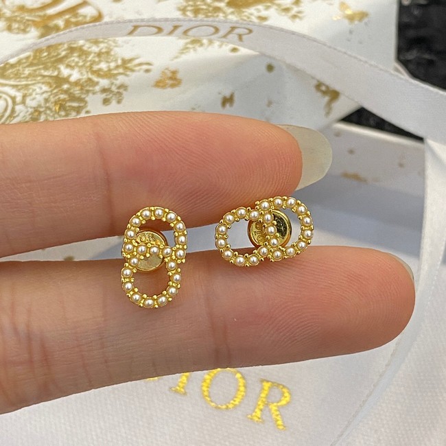 Dior Earrings CE9404