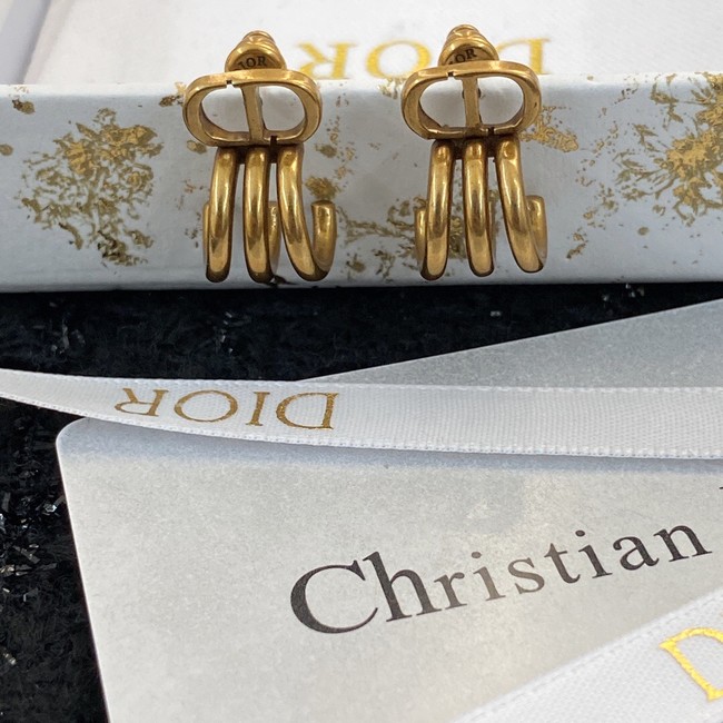 Dior Earrings CE9407