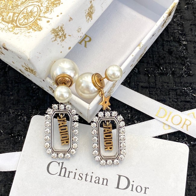 Dior Earrings CE9412